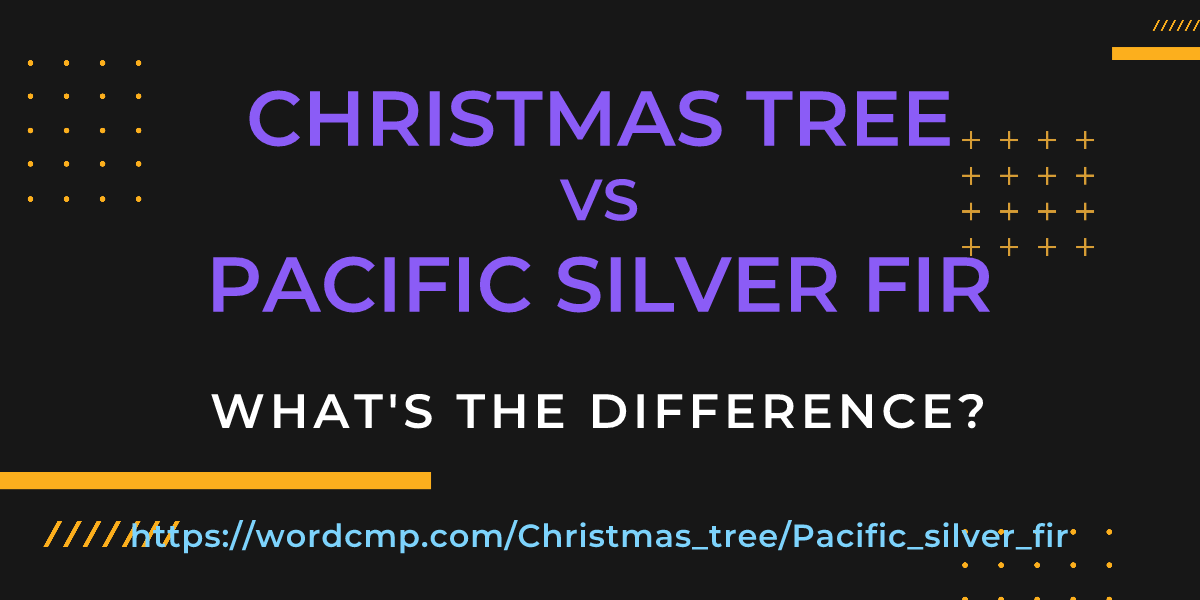 Difference between Christmas tree and Pacific silver fir