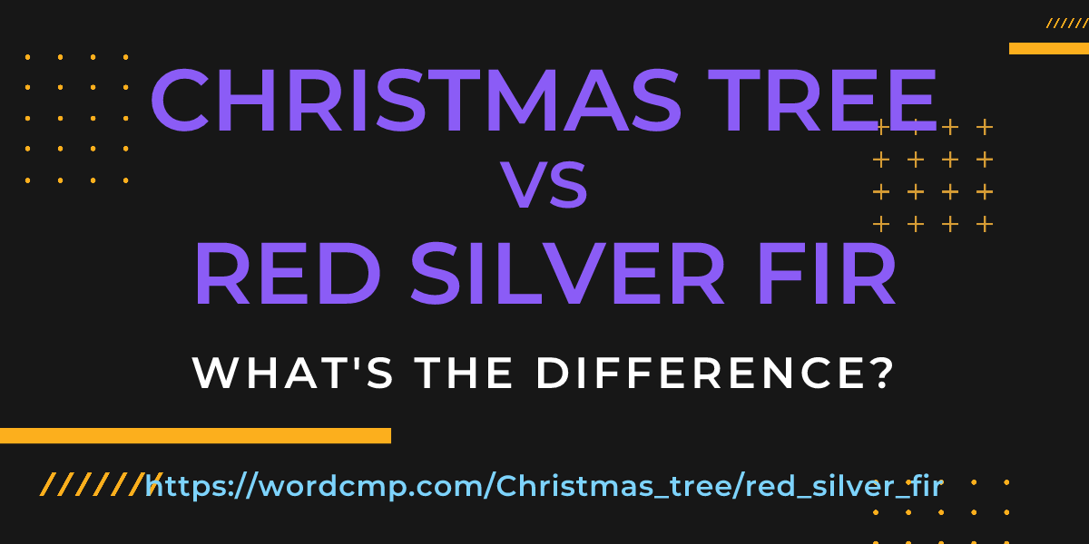 Difference between Christmas tree and red silver fir