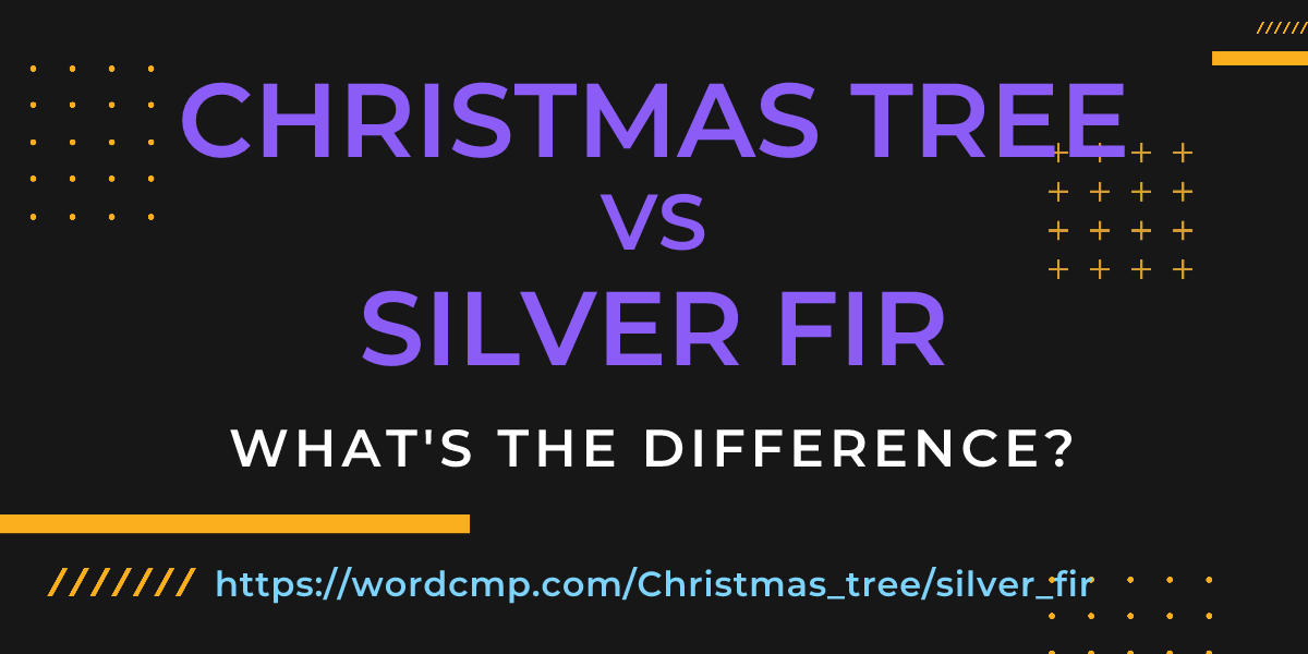 Difference between Christmas tree and silver fir