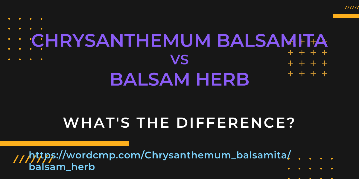 Difference between Chrysanthemum balsamita and balsam herb