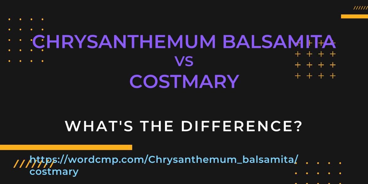 Difference between Chrysanthemum balsamita and costmary