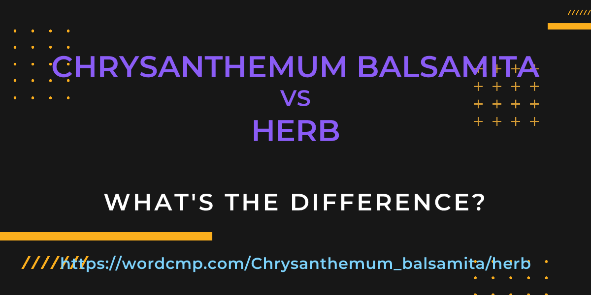 Difference between Chrysanthemum balsamita and herb