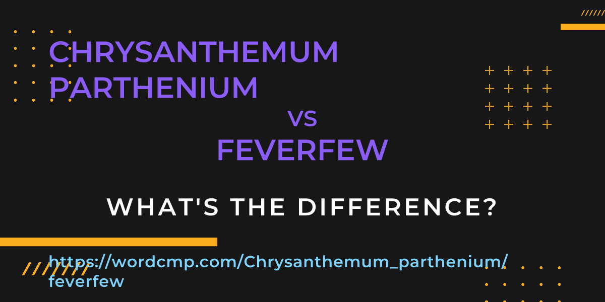 Difference between Chrysanthemum parthenium and feverfew