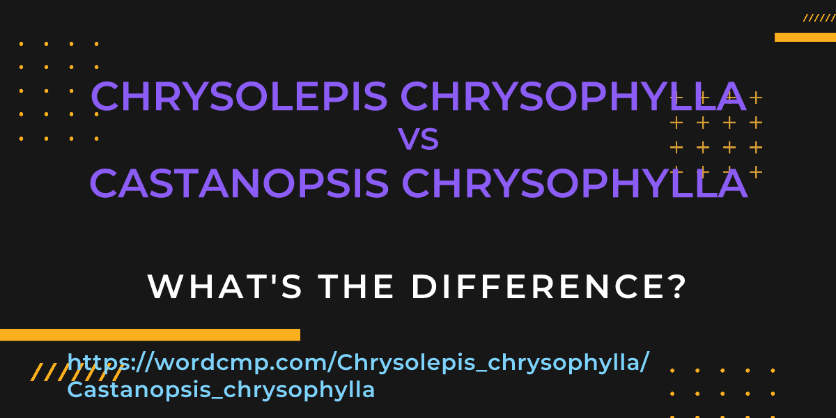 Difference between Chrysolepis chrysophylla and Castanopsis chrysophylla