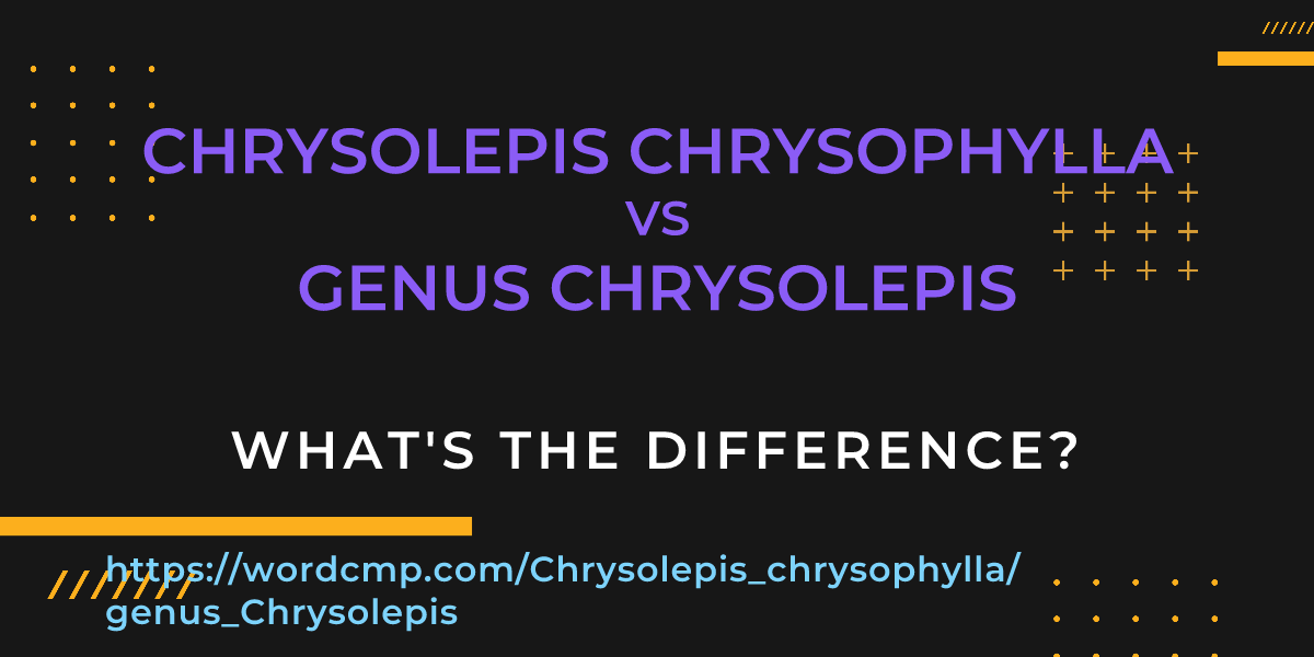 Difference between Chrysolepis chrysophylla and genus Chrysolepis