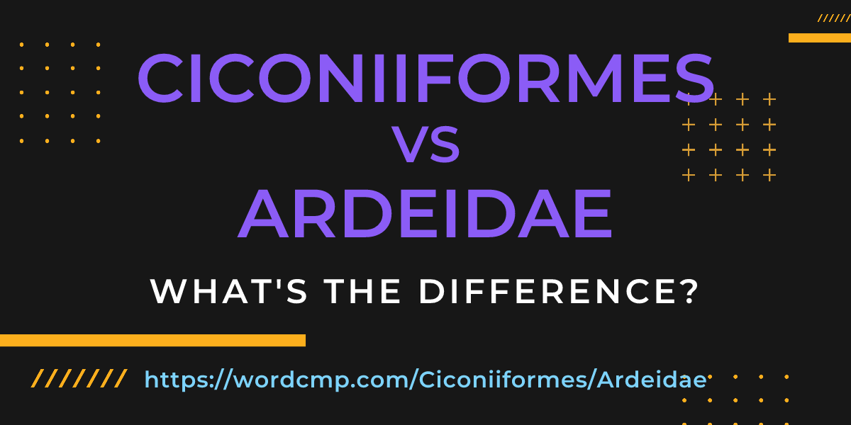 Difference between Ciconiiformes and Ardeidae