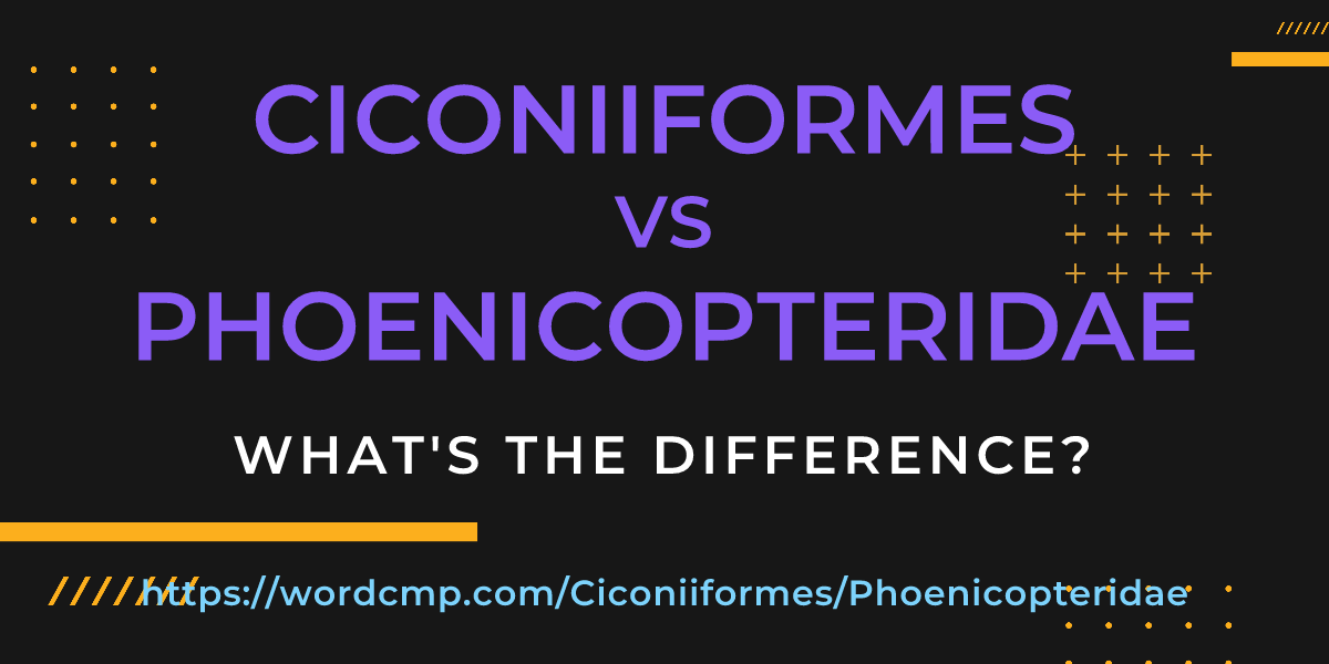 Difference between Ciconiiformes and Phoenicopteridae