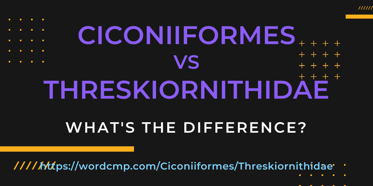 Difference between Ciconiiformes and Threskiornithidae