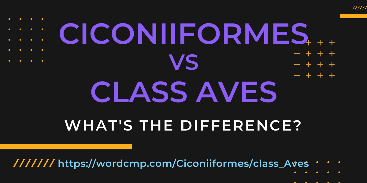 Difference between Ciconiiformes and class Aves