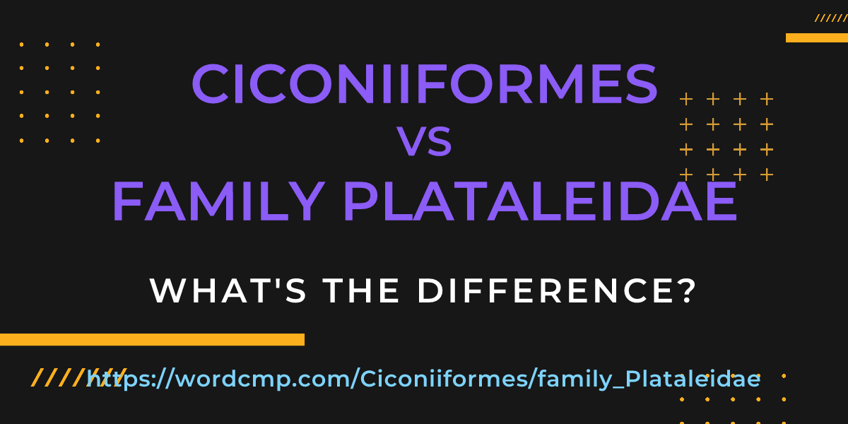 Difference between Ciconiiformes and family Plataleidae