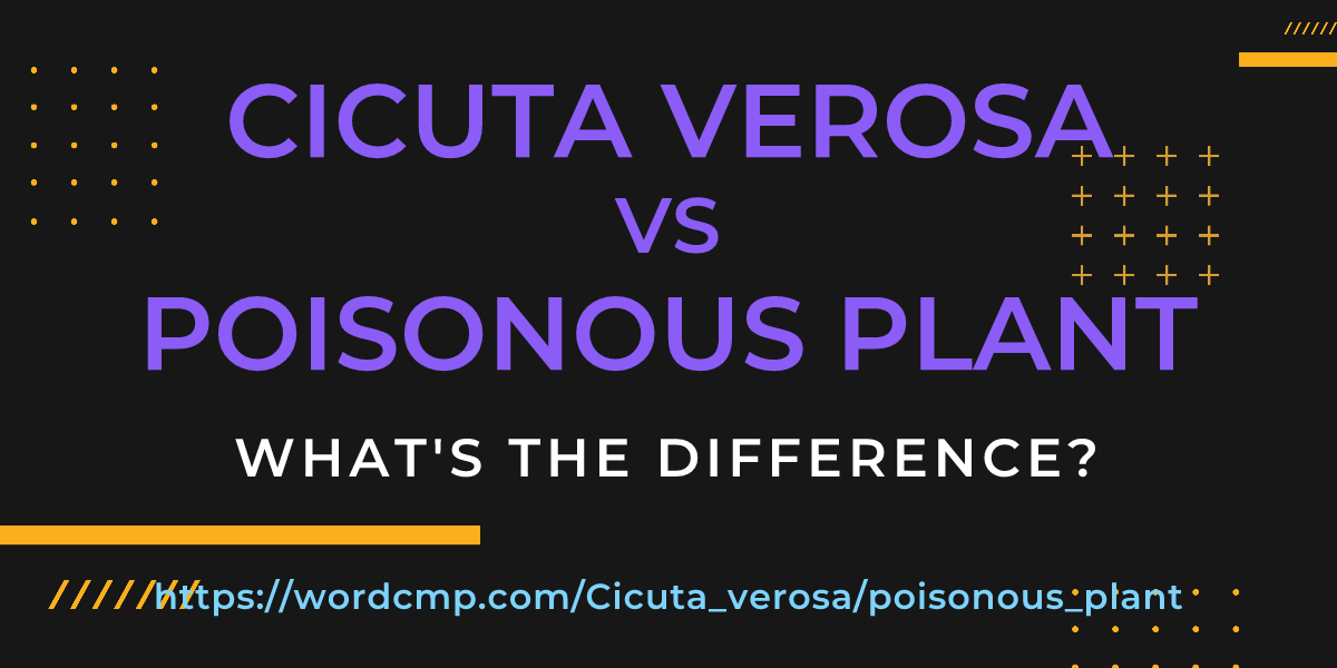 Difference between Cicuta verosa and poisonous plant