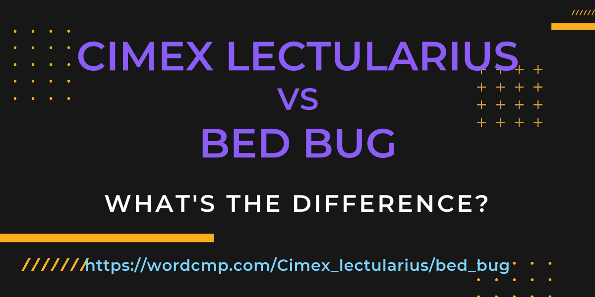 Difference between Cimex lectularius and bed bug