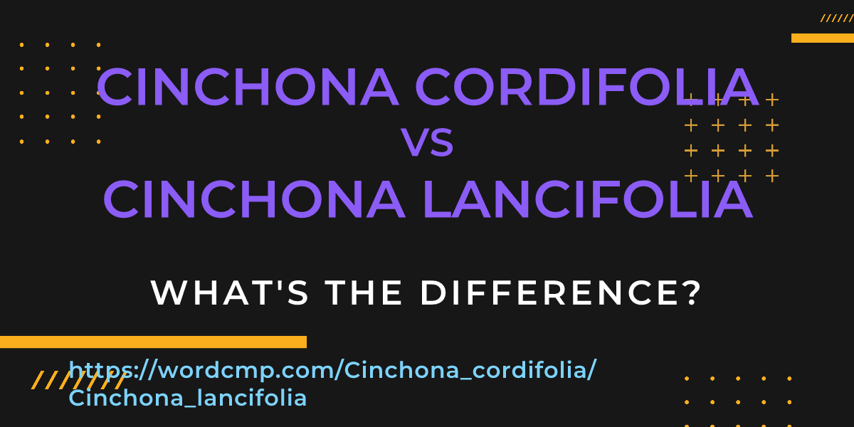 Difference between Cinchona cordifolia and Cinchona lancifolia