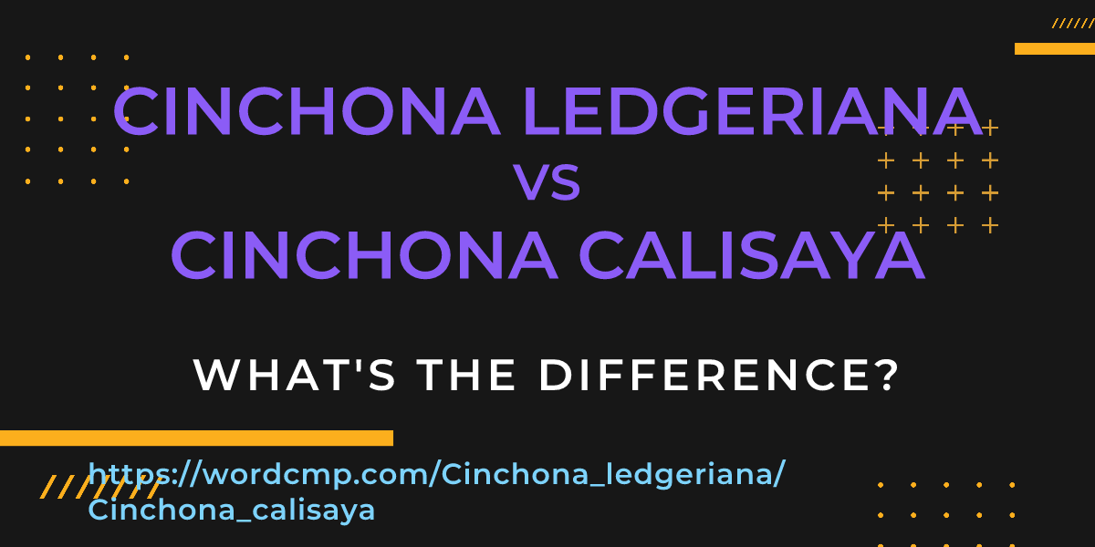 Difference between Cinchona ledgeriana and Cinchona calisaya