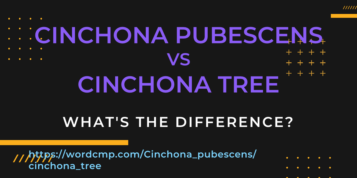 Difference between Cinchona pubescens and cinchona tree