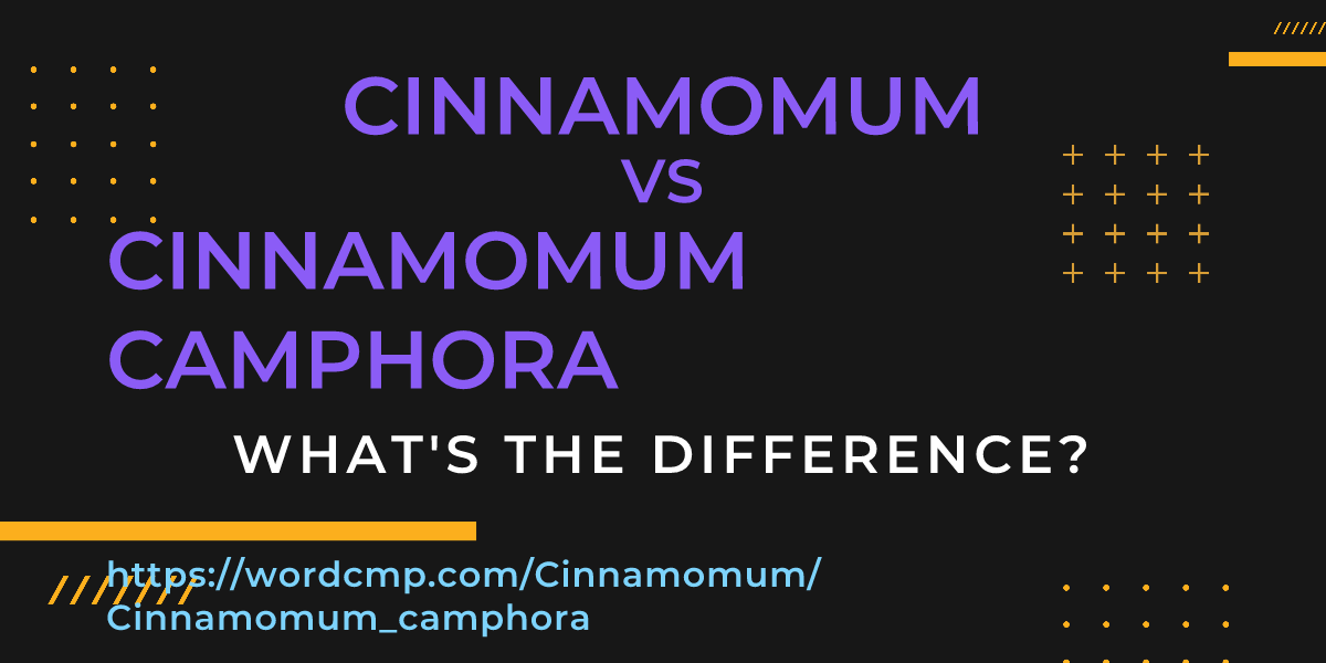 Difference between Cinnamomum and Cinnamomum camphora