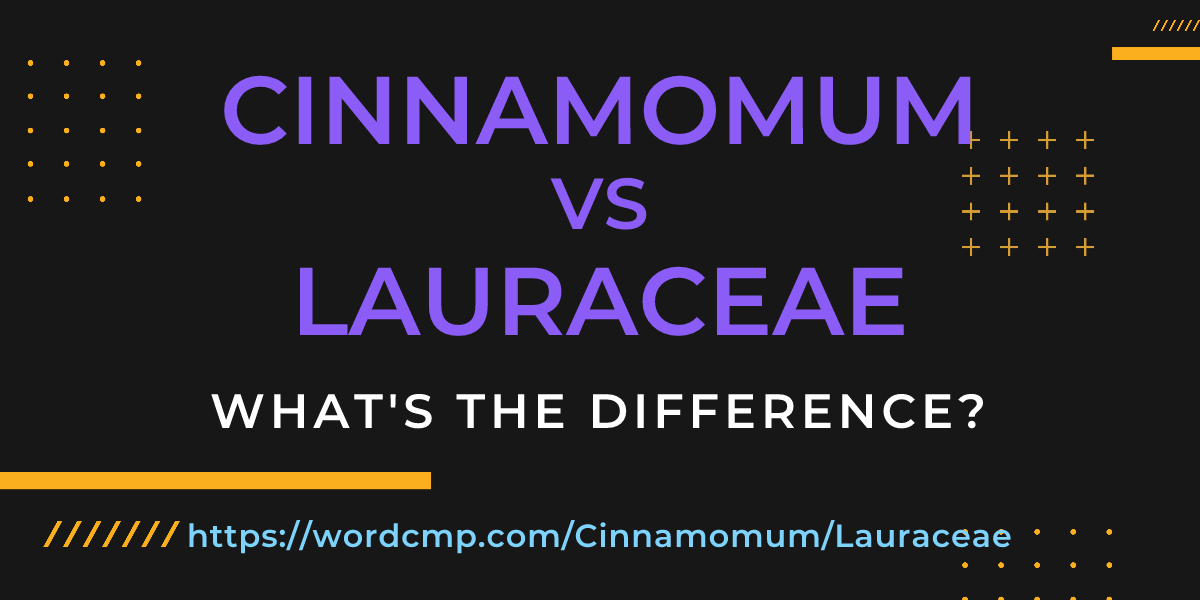 Difference between Cinnamomum and Lauraceae
