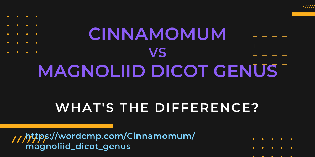 Difference between Cinnamomum and magnoliid dicot genus