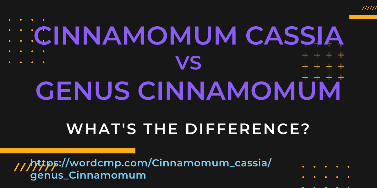 Difference between Cinnamomum cassia and genus Cinnamomum