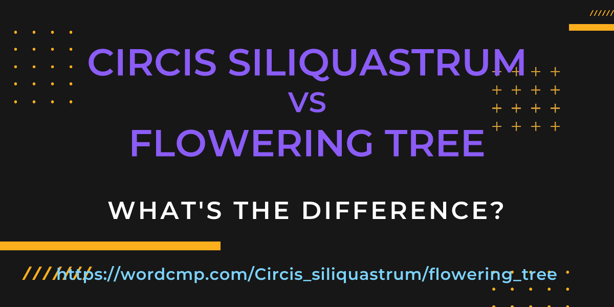 Difference between Circis siliquastrum and flowering tree