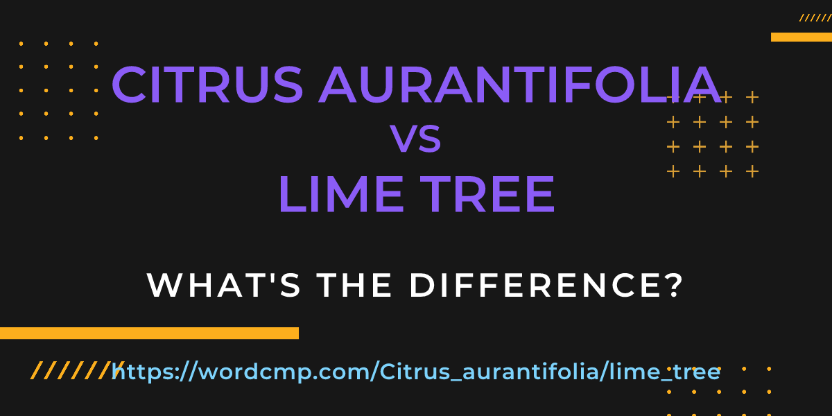 Difference between Citrus aurantifolia and lime tree