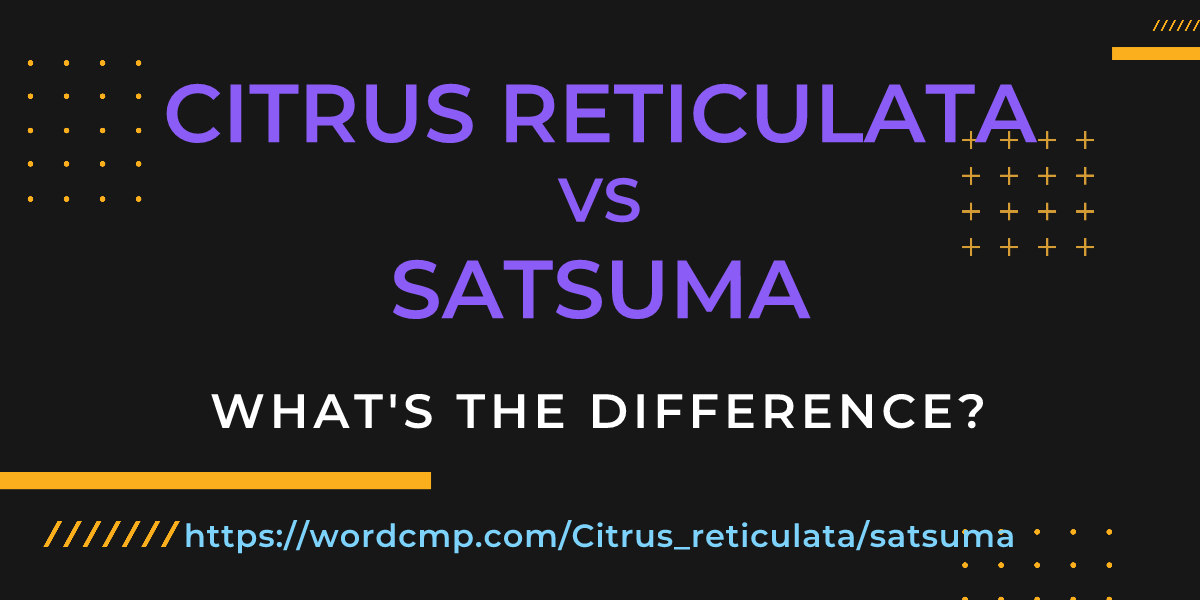 Difference between Citrus reticulata and satsuma