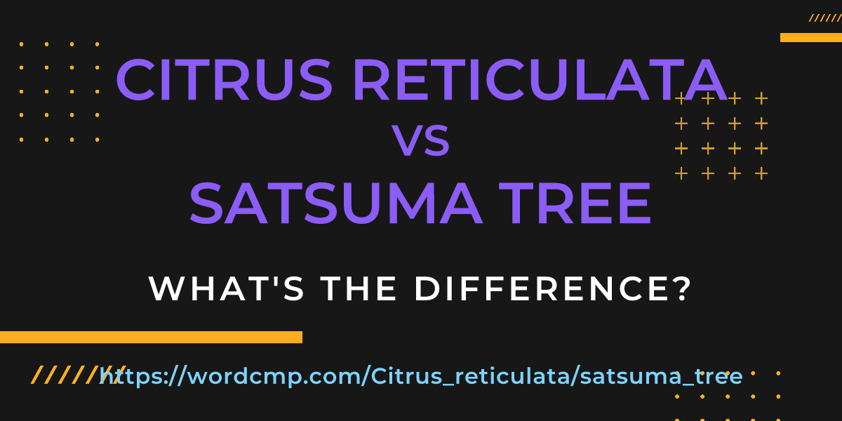Difference between Citrus reticulata and satsuma tree