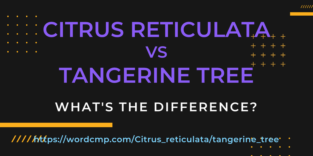 Difference between Citrus reticulata and tangerine tree