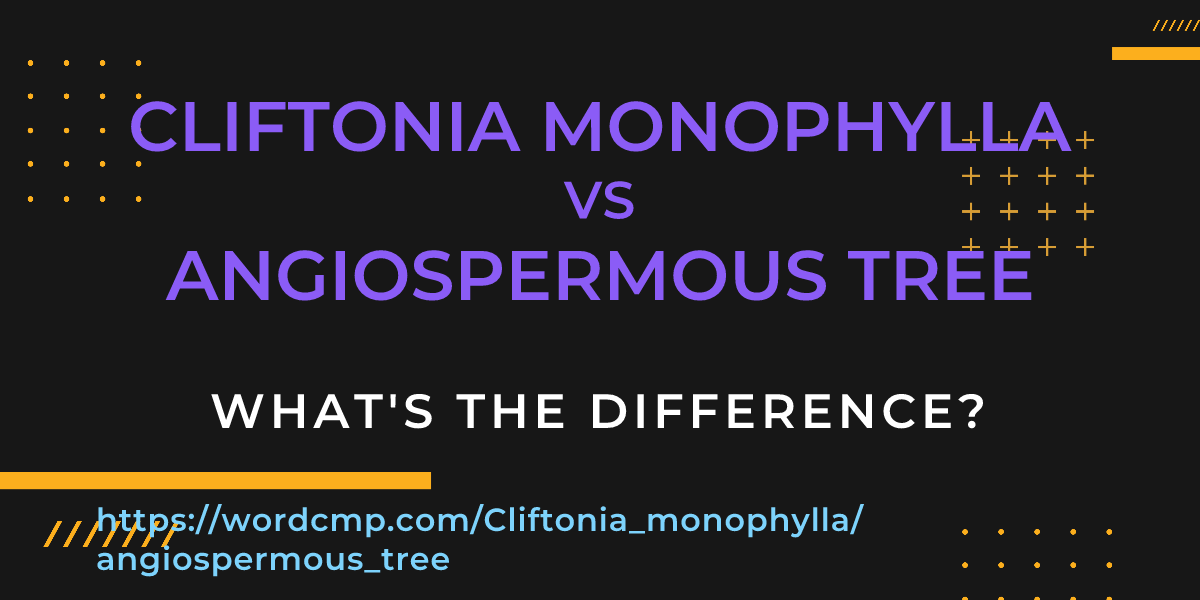 Difference between Cliftonia monophylla and angiospermous tree
