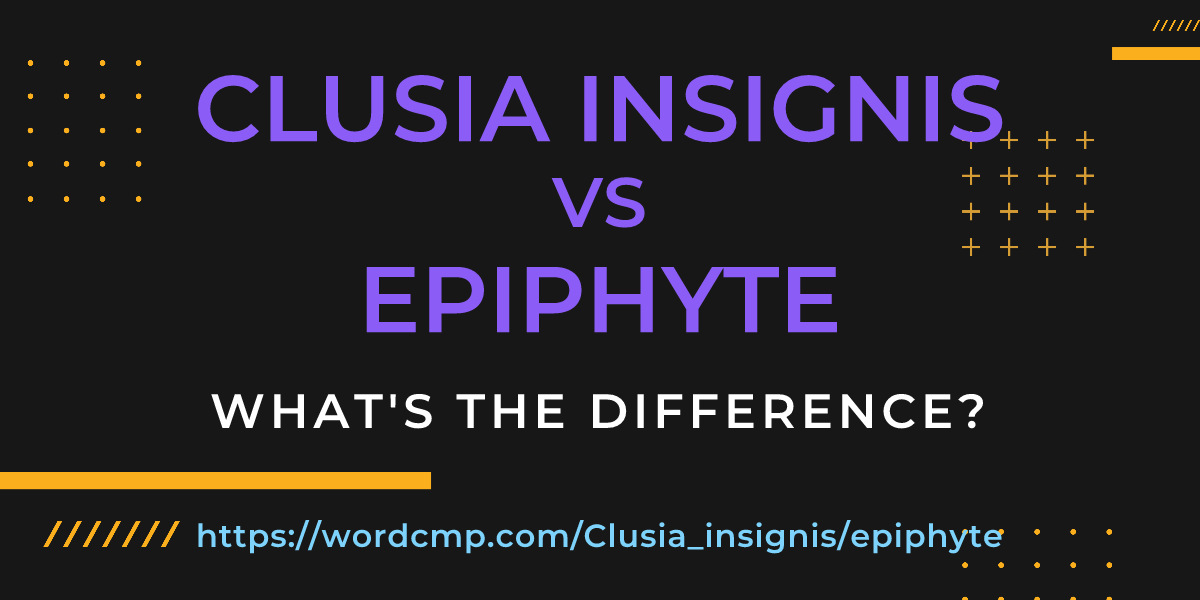 Difference between Clusia insignis and epiphyte