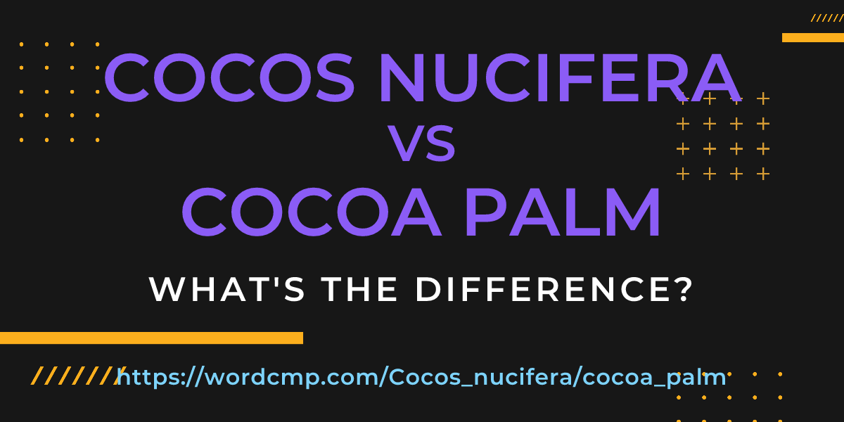 Difference between Cocos nucifera and cocoa palm
