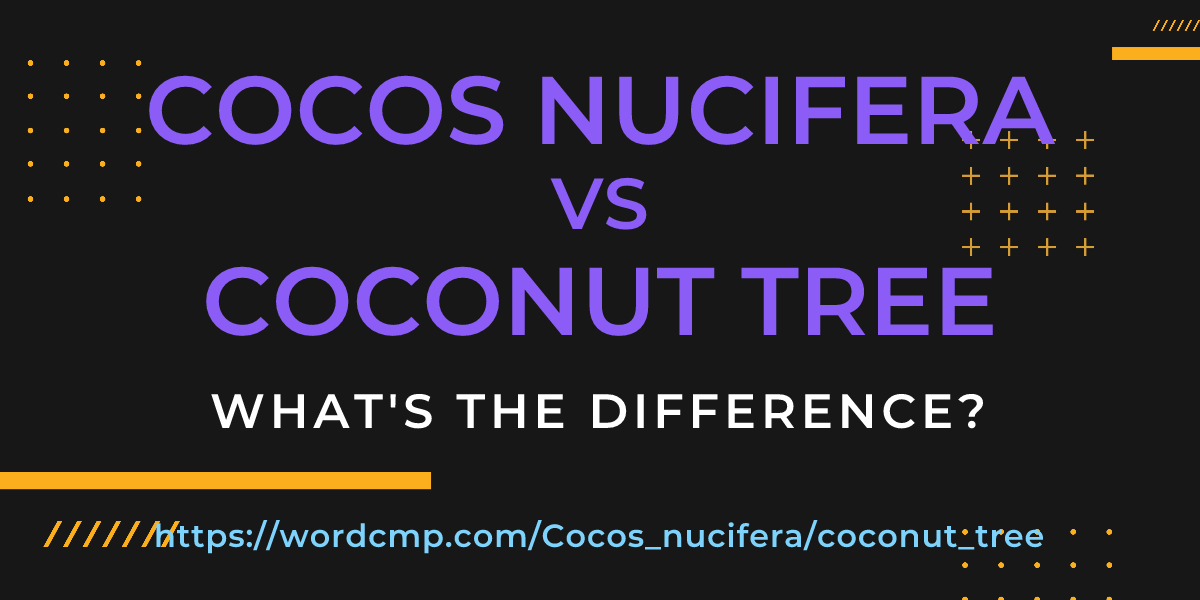 Difference between Cocos nucifera and coconut tree