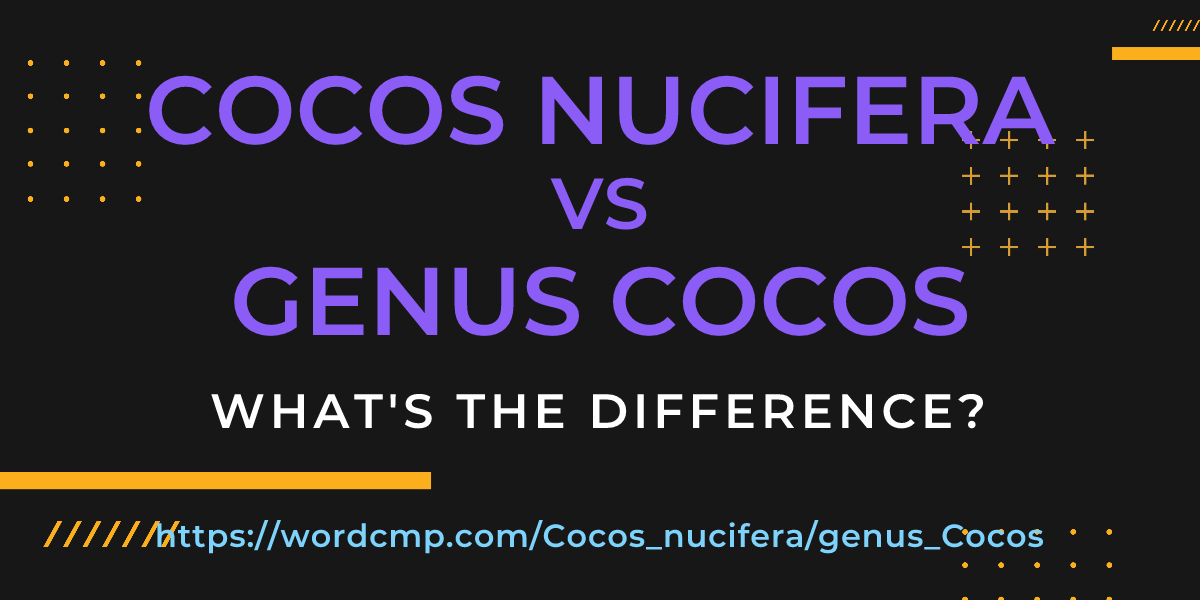 Difference between Cocos nucifera and genus Cocos