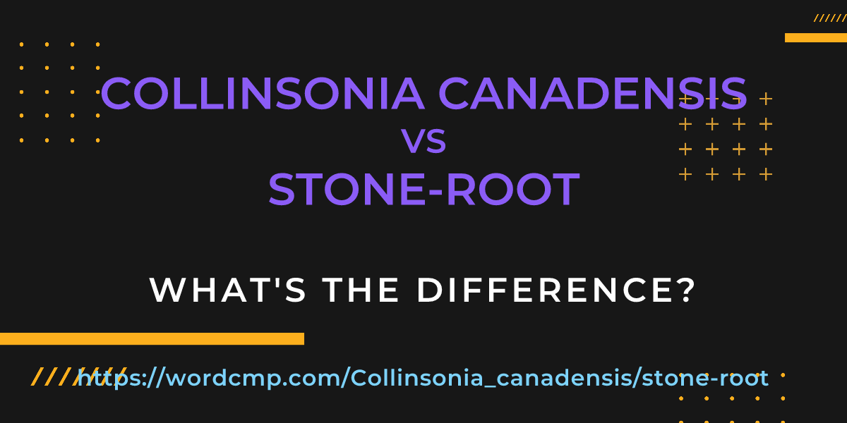 Difference between Collinsonia canadensis and stone-root