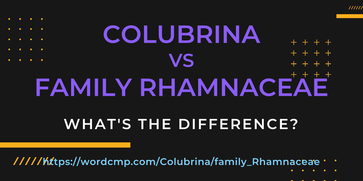 Difference between Colubrina and family Rhamnaceae