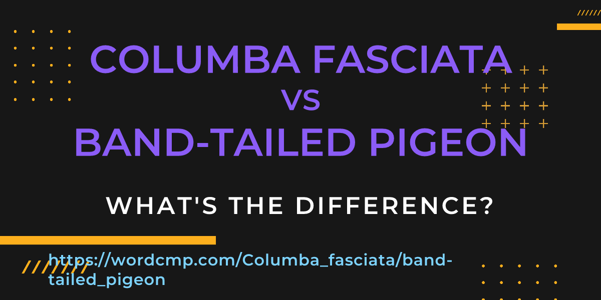 Difference between Columba fasciata and band-tailed pigeon