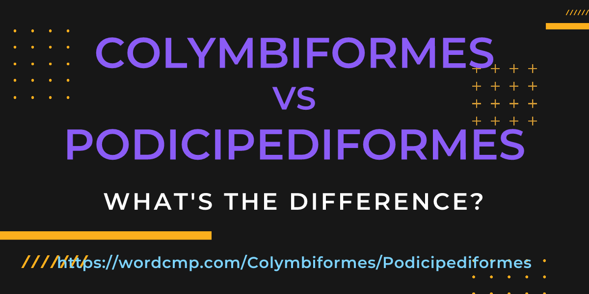 Difference between Colymbiformes and Podicipediformes