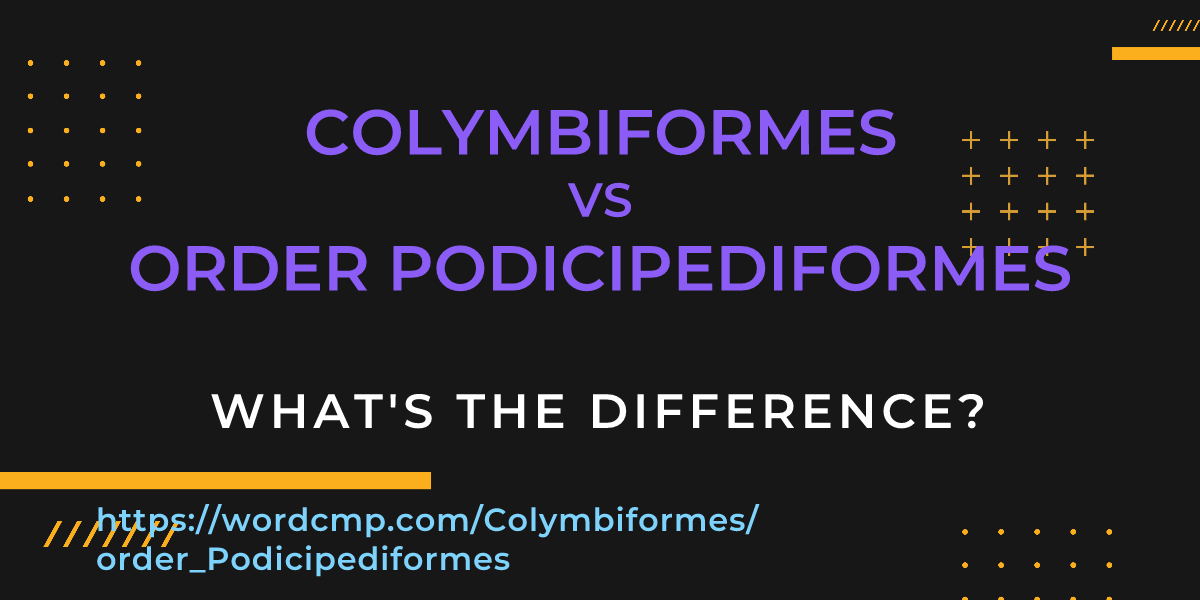Difference between Colymbiformes and order Podicipediformes