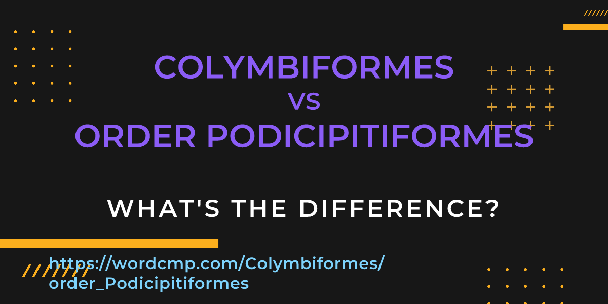 Difference between Colymbiformes and order Podicipitiformes
