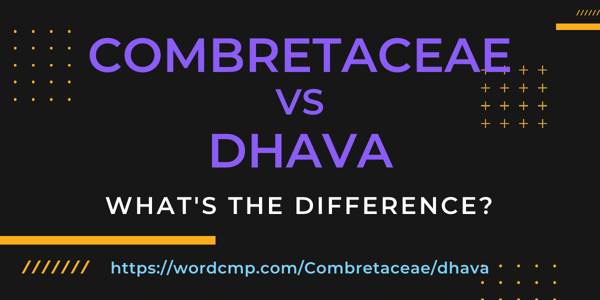 Difference between Combretaceae and dhava
