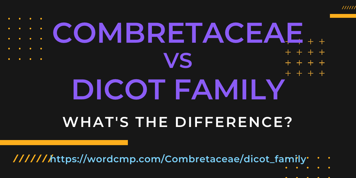Difference between Combretaceae and dicot family