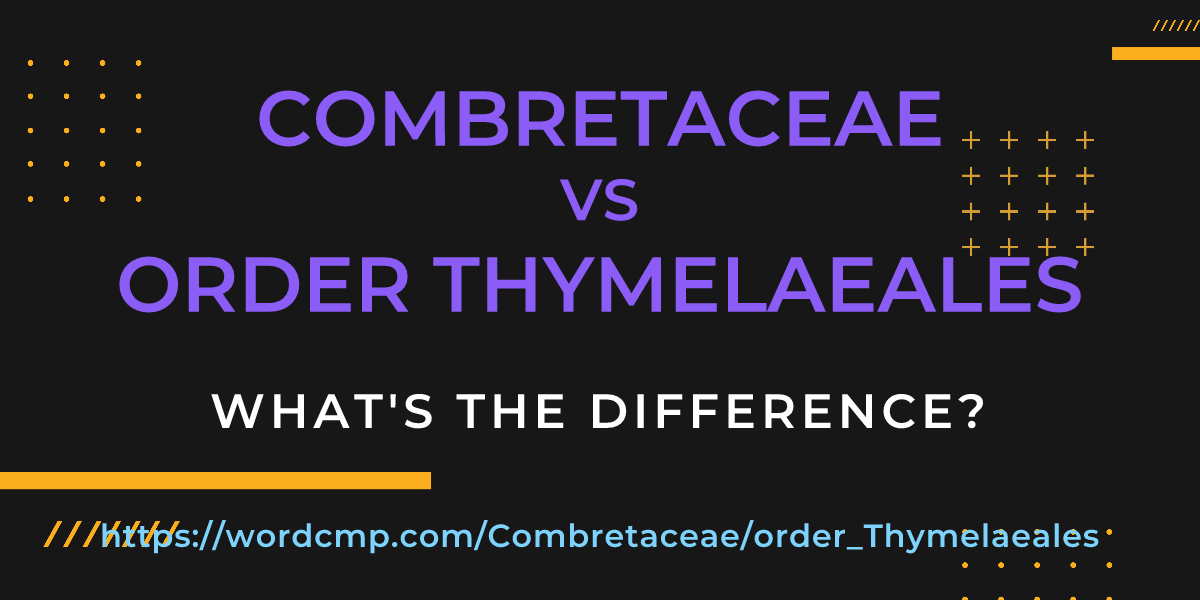 Difference between Combretaceae and order Thymelaeales