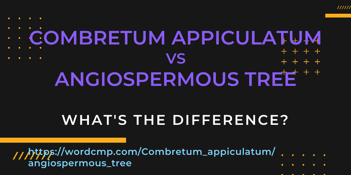 Difference between Combretum appiculatum and angiospermous tree