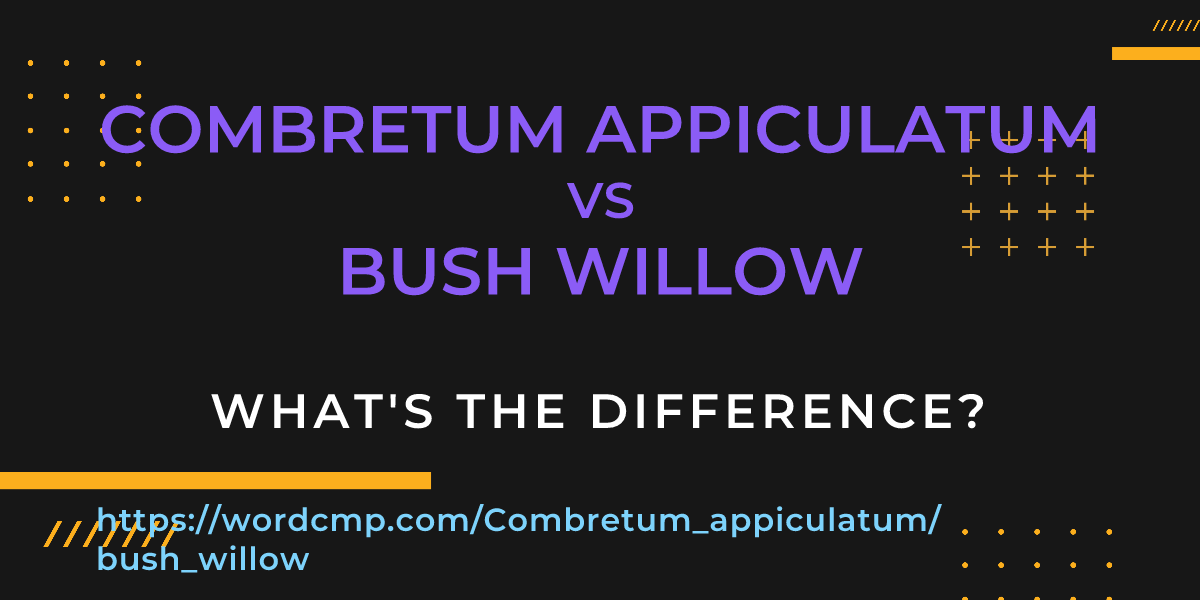 Difference between Combretum appiculatum and bush willow