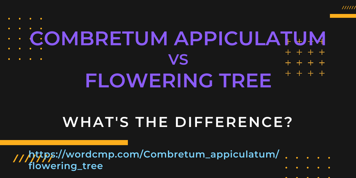 Difference between Combretum appiculatum and flowering tree