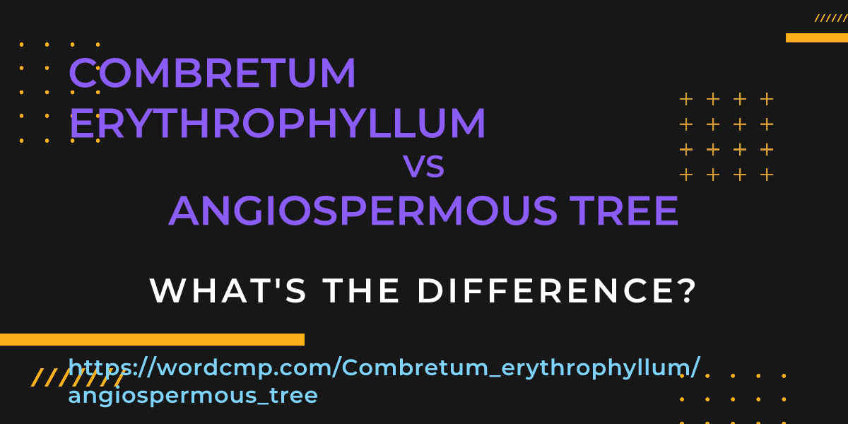 Difference between Combretum erythrophyllum and angiospermous tree