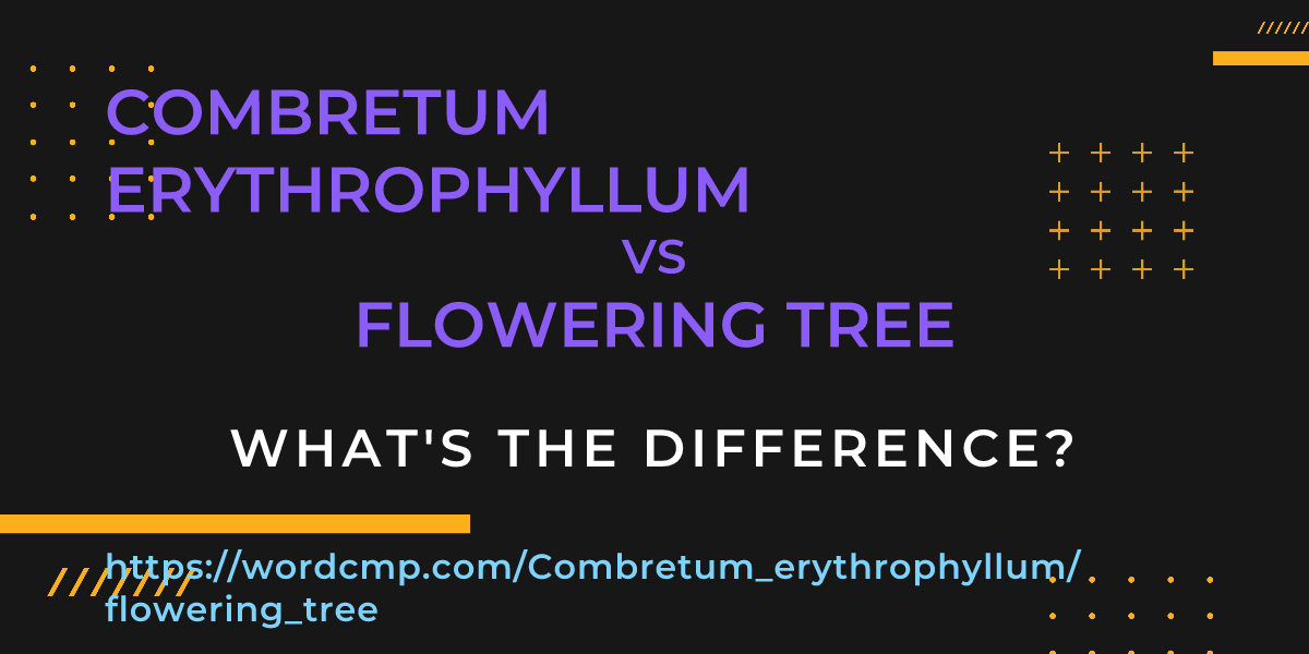 Difference between Combretum erythrophyllum and flowering tree