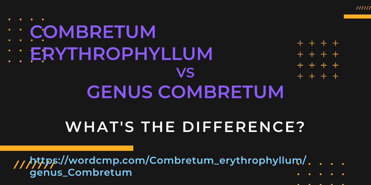 Difference between Combretum erythrophyllum and genus Combretum