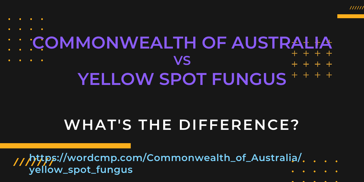 Difference between Commonwealth of Australia and yellow spot fungus
