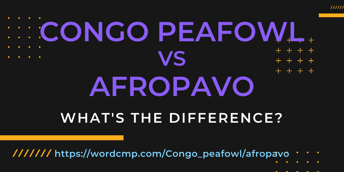 Difference between Congo peafowl and afropavo